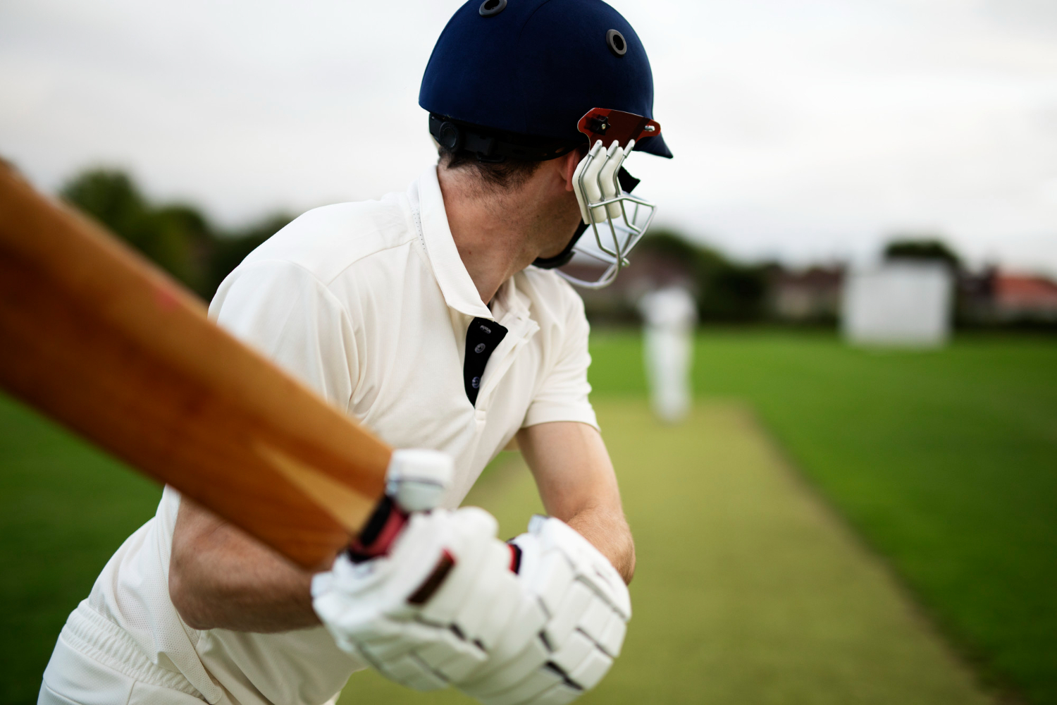 Cricket Chronicles: A Passionate Exploration into the World of Cricket